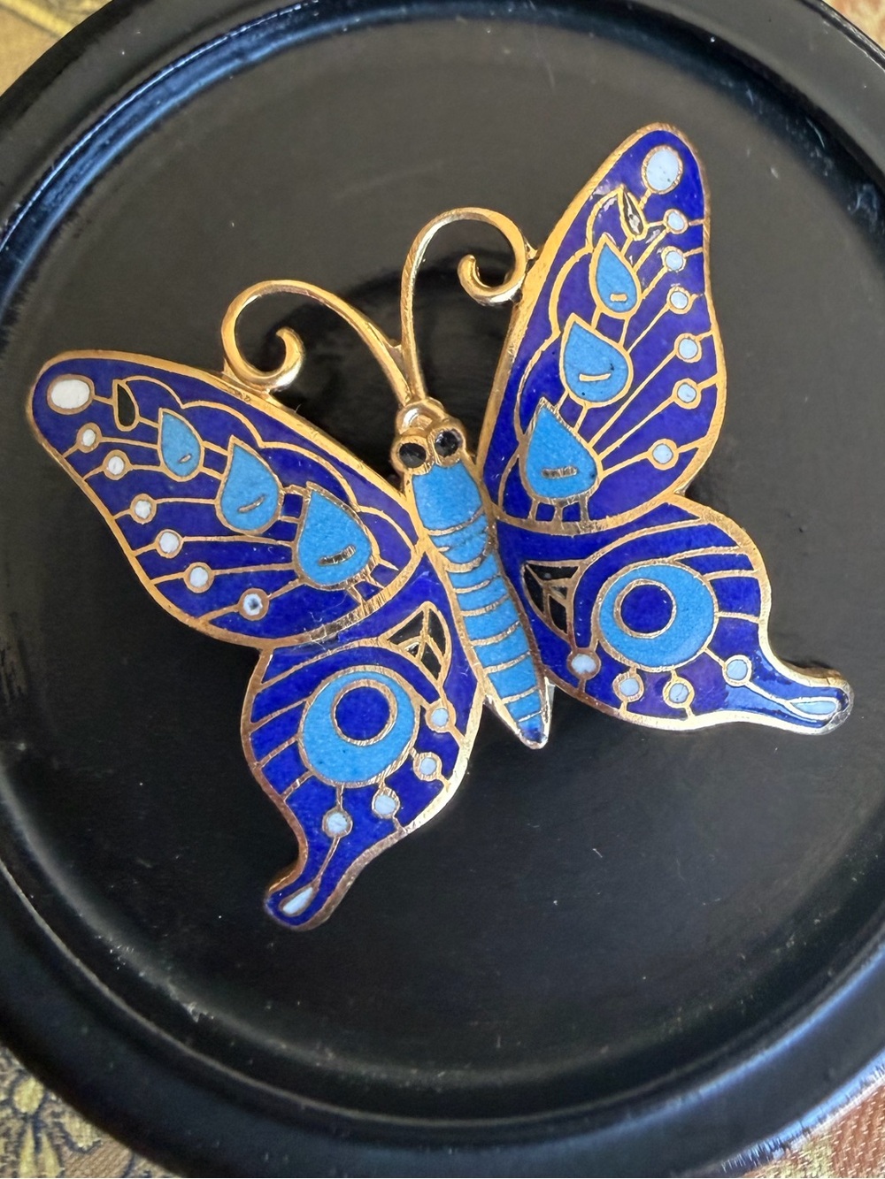Vintage Cloisonné Butterfly Brooch & Pendant